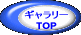 M[ TOP